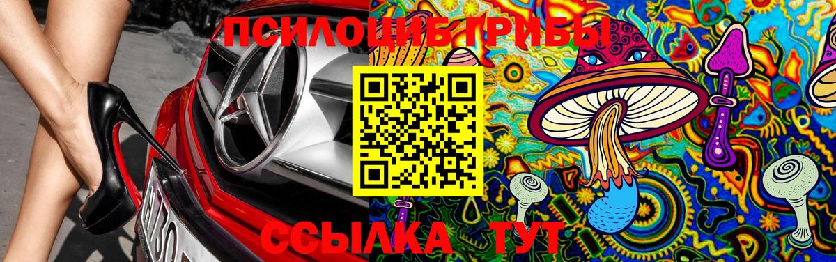 Сызрань  Псилоцибиновые грибы GOLDEN TEACHER  Вход с VPN 